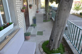 Nano Guest House